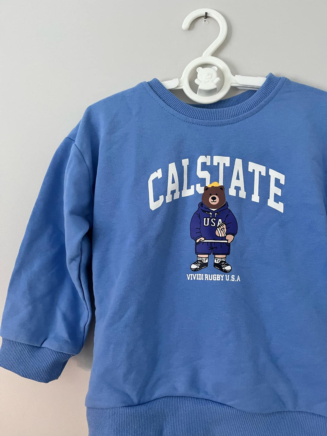 Blue Teddy Bear Print Sweatshirt & Jogger Co-ord